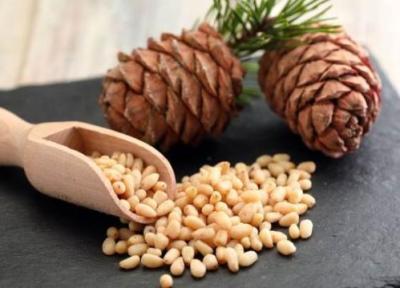 خواص باور نکردنی دانه درخت کاج خواص باور نکردنی دانه درخت کاج