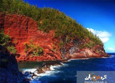 جاذبه گردشگری ساحل سرخ در هاوایی، تصاویر جاذبه گردشگری ساحل سرخ در هاوایی، تصاویر