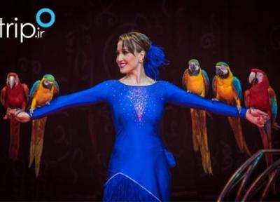 هیجان انگیزترین سیرک ها در دنیا هیجان انگیزترین سیرک ها در دنیا